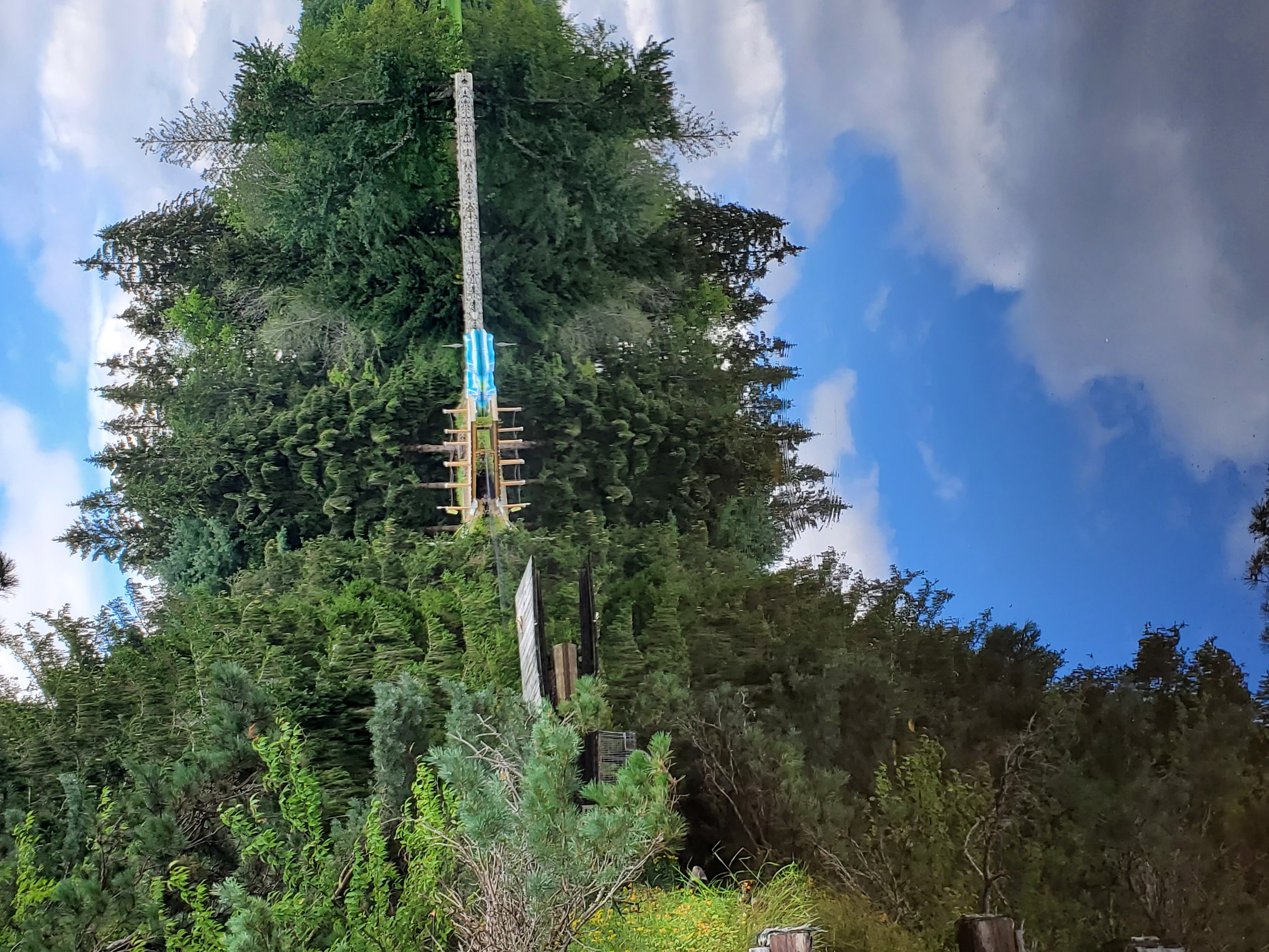 Lake Watawga reflections.